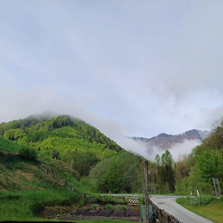 Wohnung Im Nationalpark Kalkalpen 3 Reichraming Kültér fotó