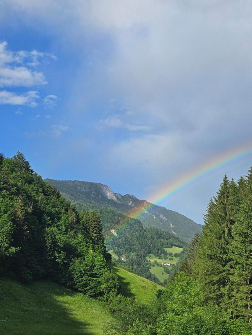 Wohnung Im Nationalpark Kalkalpen 3 Reichraming Kültér fotó